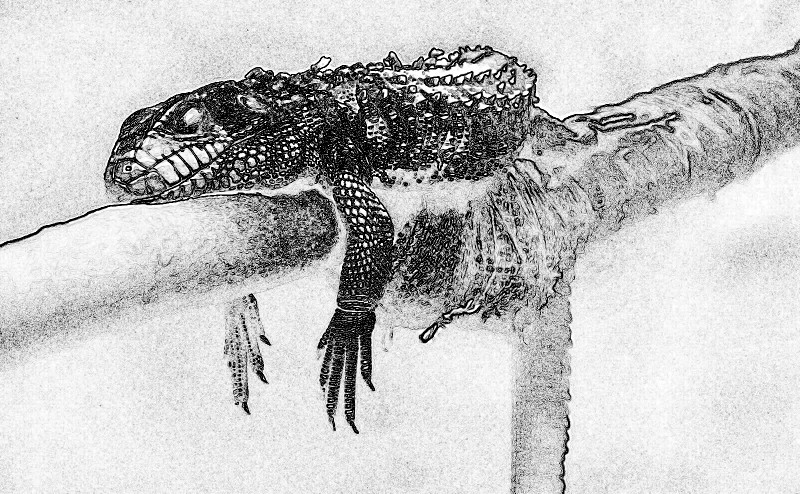 f:id:ayaeyego:20161220183427j:plain f:id:ayaeyego:20161220183427j:plain