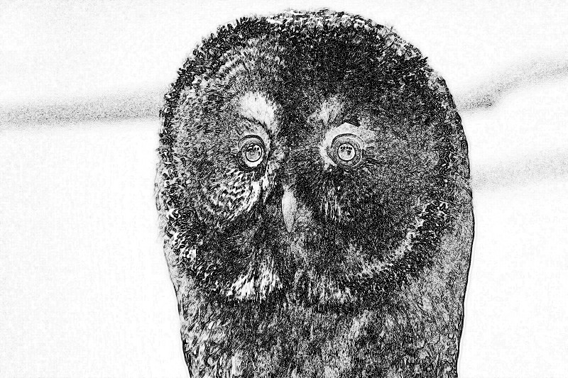 f:id:ayaeyego:20161220183504j:plain f:id:ayaeyego:20161220183504j:plain