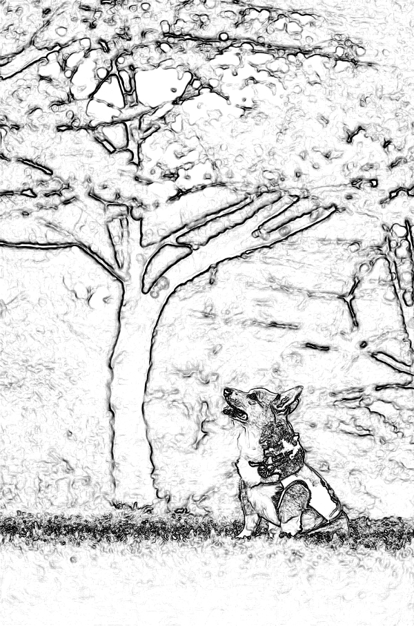 f:id:ayaeyego:20161220184123j:plain f:id:ayaeyego:20161220184123j:plain