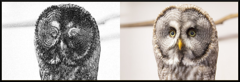 f:id:ayaeyego:20161220191548j:plain f:id:ayaeyego:20161220191548j:plain