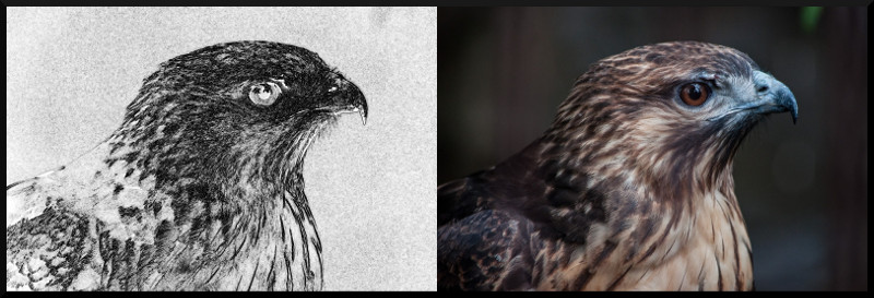 f:id:ayaeyego:20161220191608j:plain f:id:ayaeyego:20161220191608j:plain