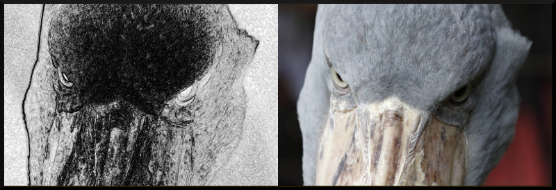 f:id:ayaeyego:20161220191620j:plain f:id:ayaeyego:20161220191620j:plain