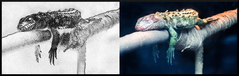 f:id:ayaeyego:20161220191646j:plain f:id:ayaeyego:20161220191646j:plain