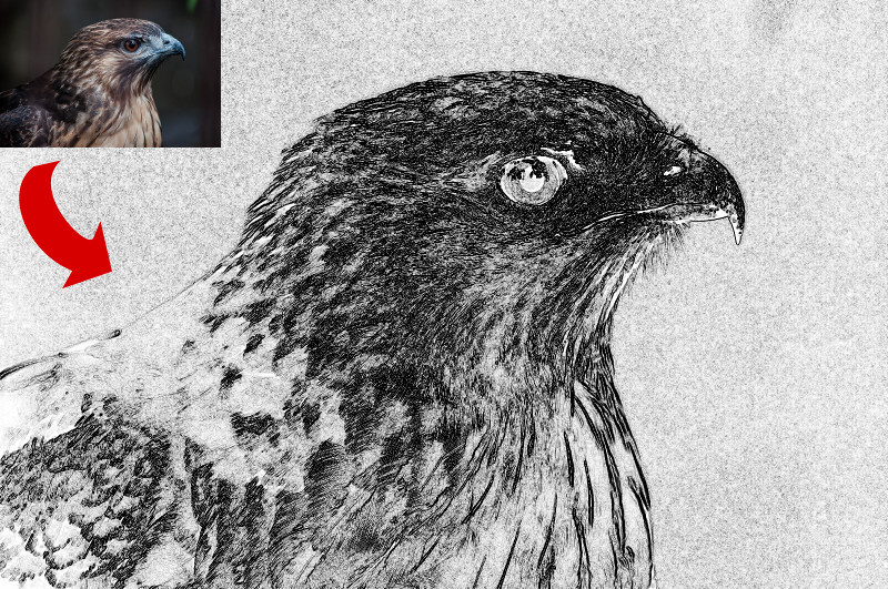 f:id:ayaeyego:20161221074117j:plain f:id:ayaeyego:20161221074117j:plain