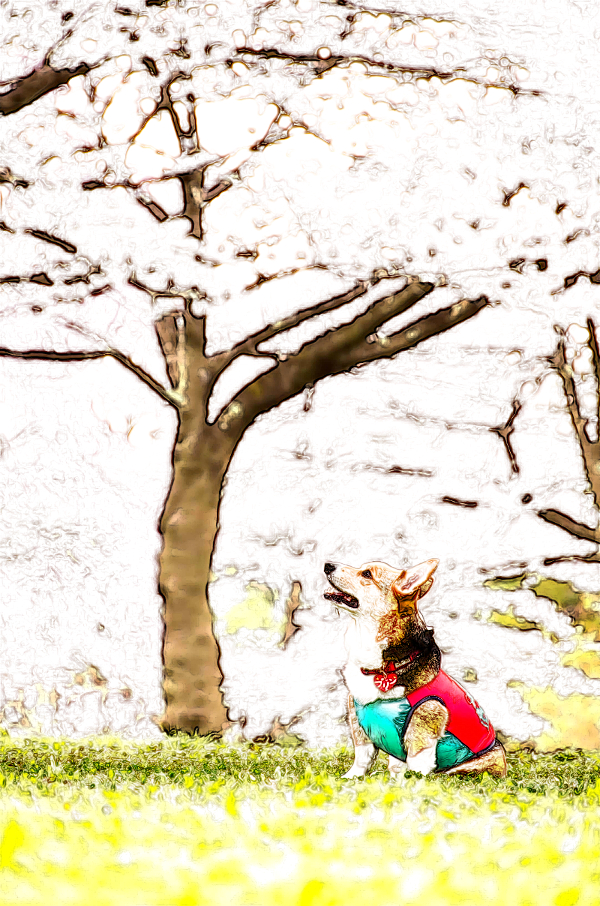 f:id:ayaeyego:20161221085007j:plain f:id:ayaeyego:20161221085007j:plain