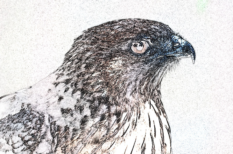 f:id:ayaeyego:20161221085210j:plain f:id:ayaeyego:20161221085210j:plain