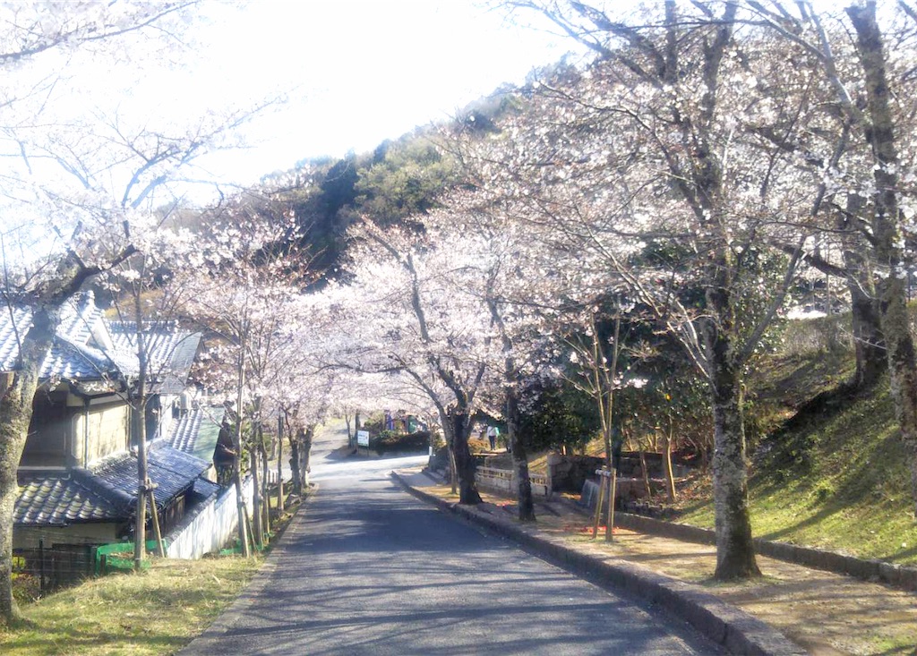 f:id:ayagawaudon:20230320222603j:image