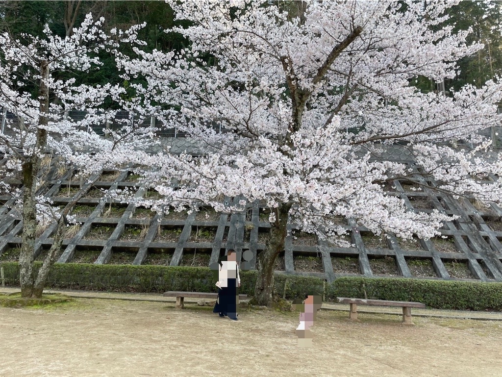 f:id:ayagawaudon:20230320223503j:image