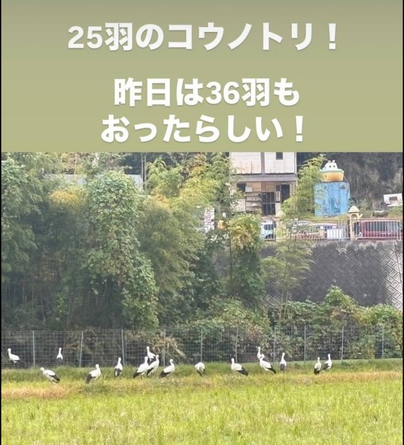 f:id:ayagawaudon:20241117161332j:image