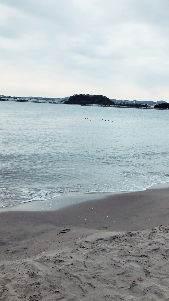 f:id:ayaka-style:20190224121437j:plain