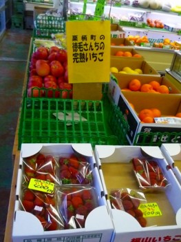 徳毛さんの苺は甘くっていつでもおいしい 福山いちご 広島県府中市 福山 備後information 徳毛さんの苺は甘くっていつでもおいしい 福山いちご 広島県府中市 福山 備後information
