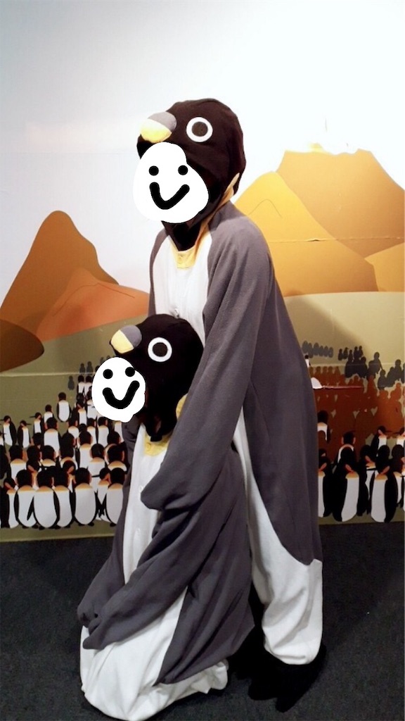 f:id:ayakahahaha:20190217141910j:image