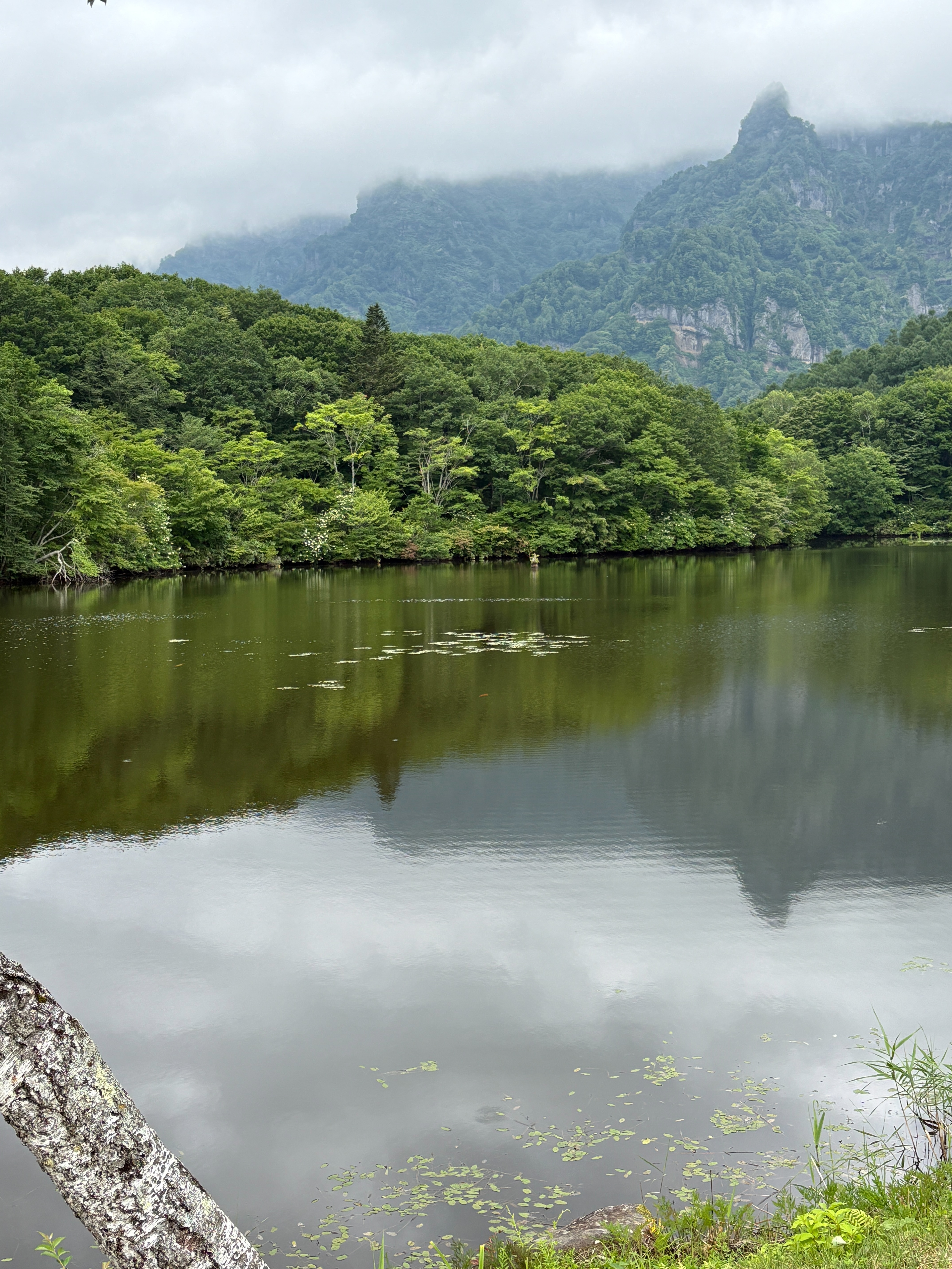f:id:ayakaoru:20260805062543j:image f:id:ayakaoru:20260805062543j:image