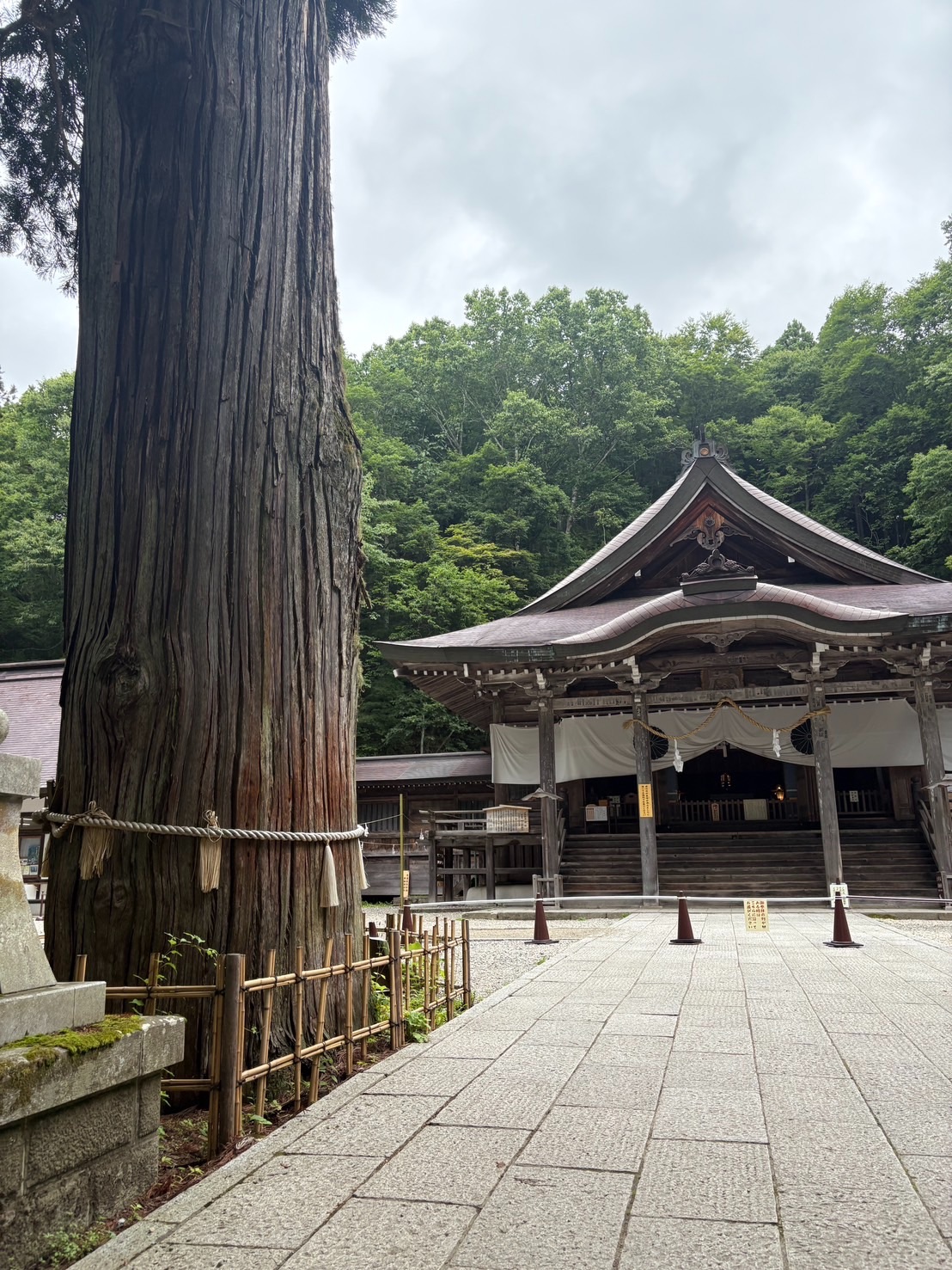 f:id:ayakaoru:20260805065335j:image f:id:ayakaoru:20260805065335j:image