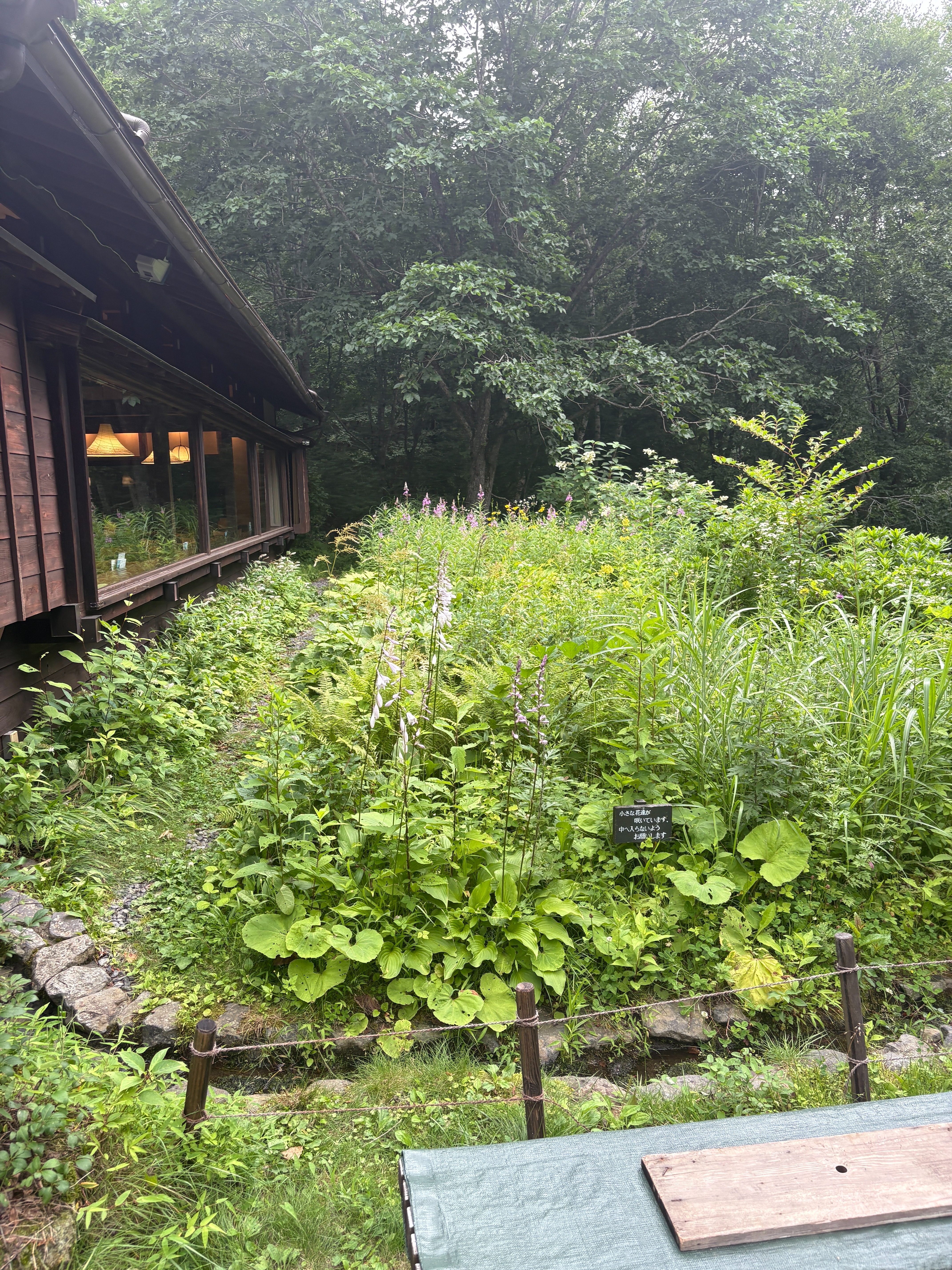 f:id:ayakaoru:20260805065520j:image