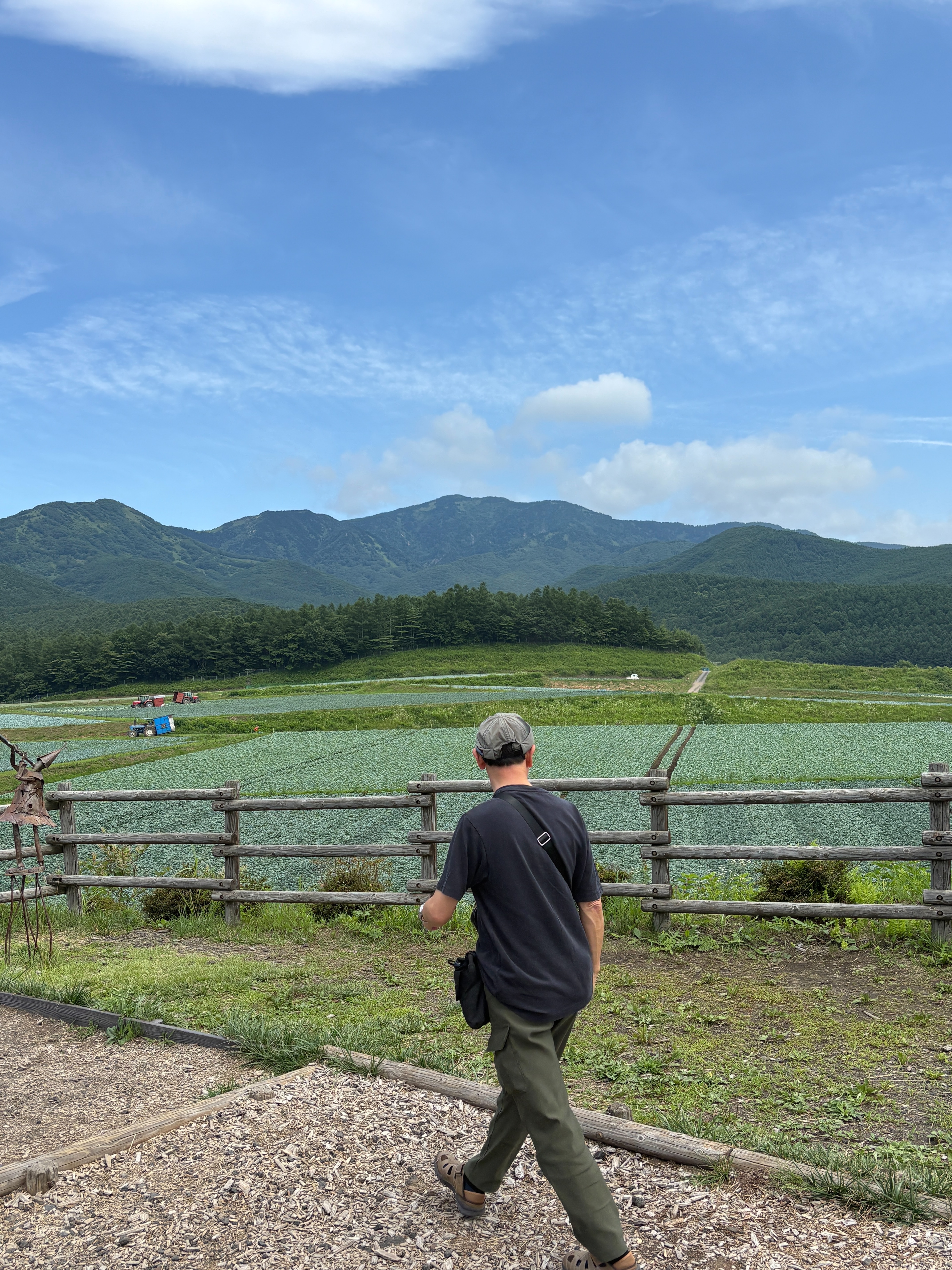 f:id:ayakaoru:20260806120649j:image f:id:ayakaoru:20260806120649j:image