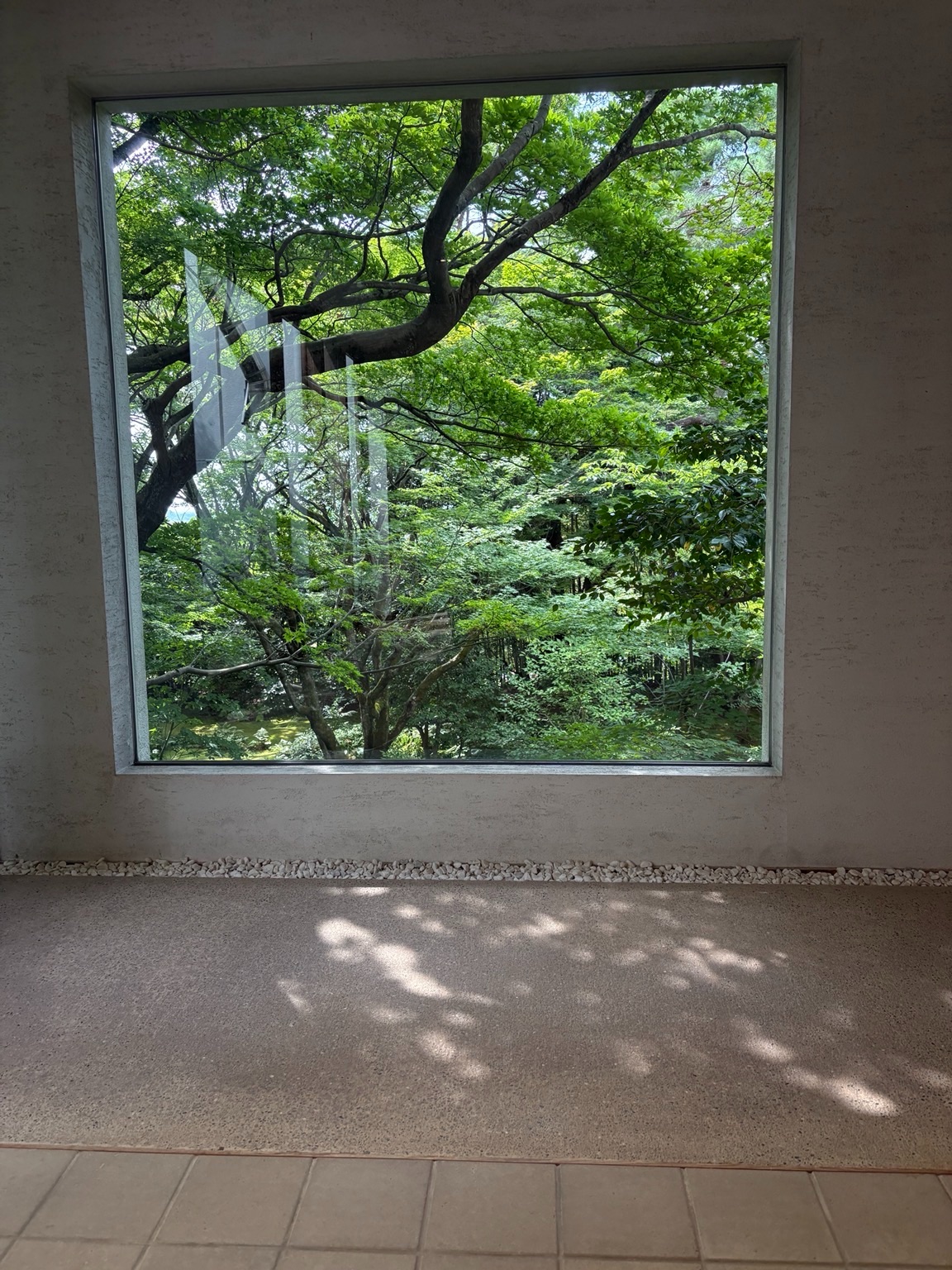 f:id:ayakaoru:20260807192100j:image f:id:ayakaoru:20260807192100j:image