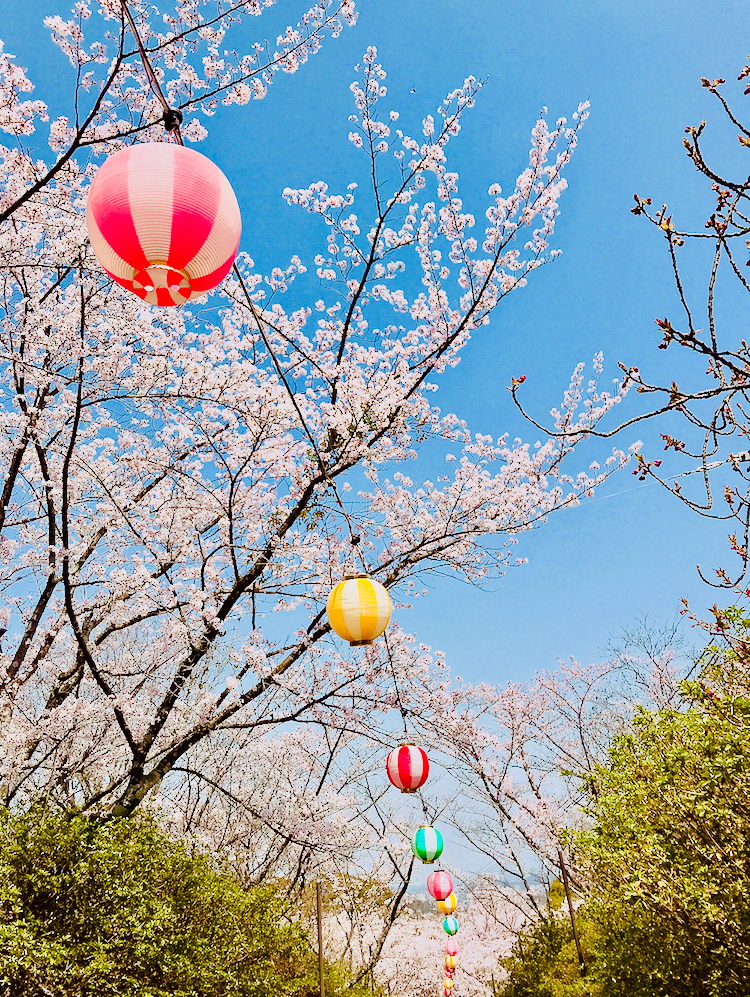 f:id:ayakmi13:20180331233151j:plain f:id:ayakmi13:20180331233151j:plain
