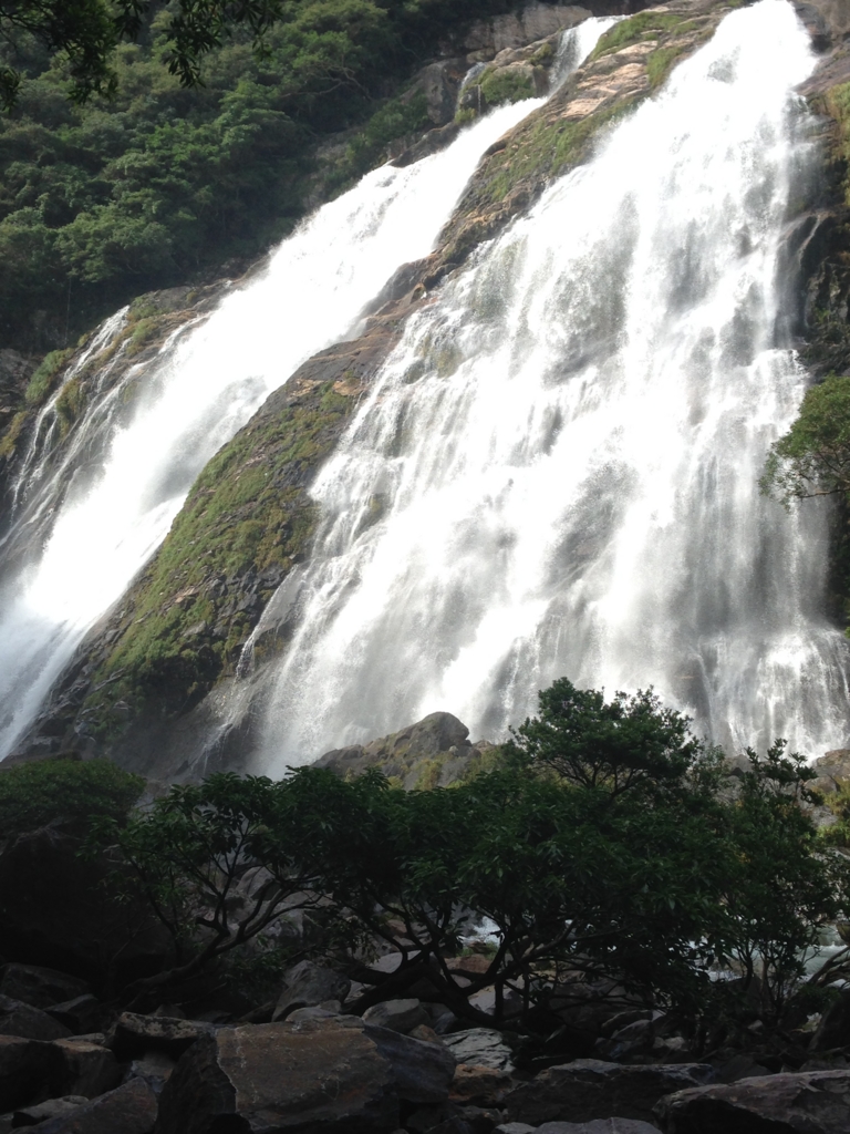 f:id:ayako-sundries:20150629161716j:plain f:id:ayako-sundries:20150629161716j:plain