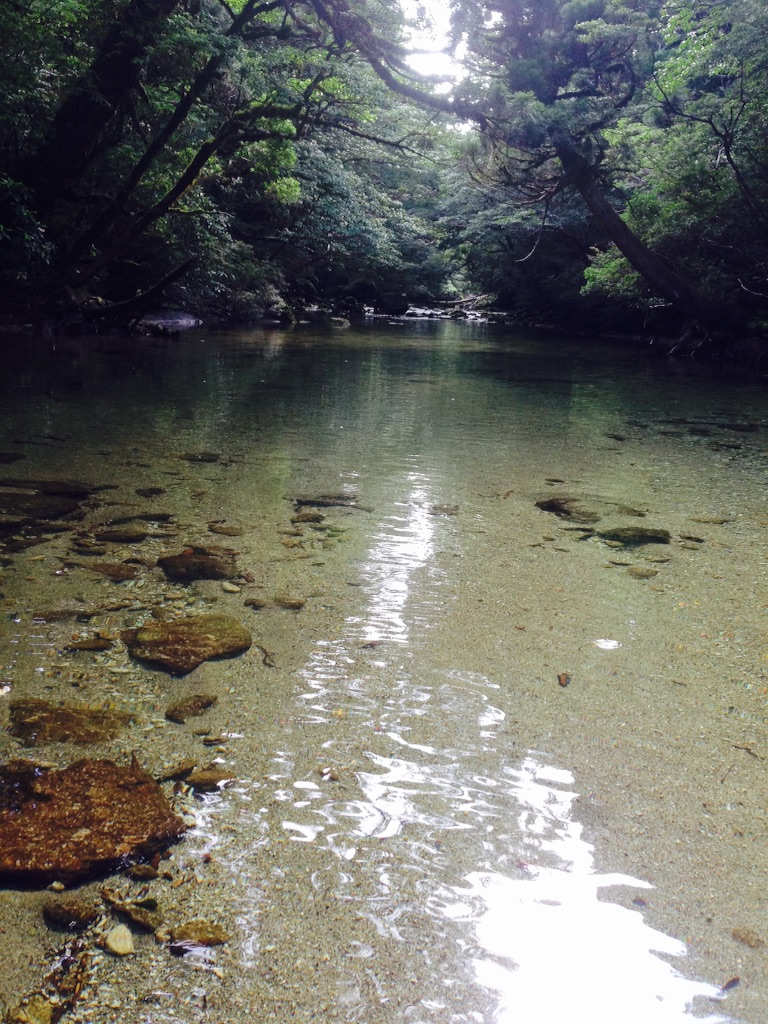 f:id:ayako-sundries:20160804181601j:image