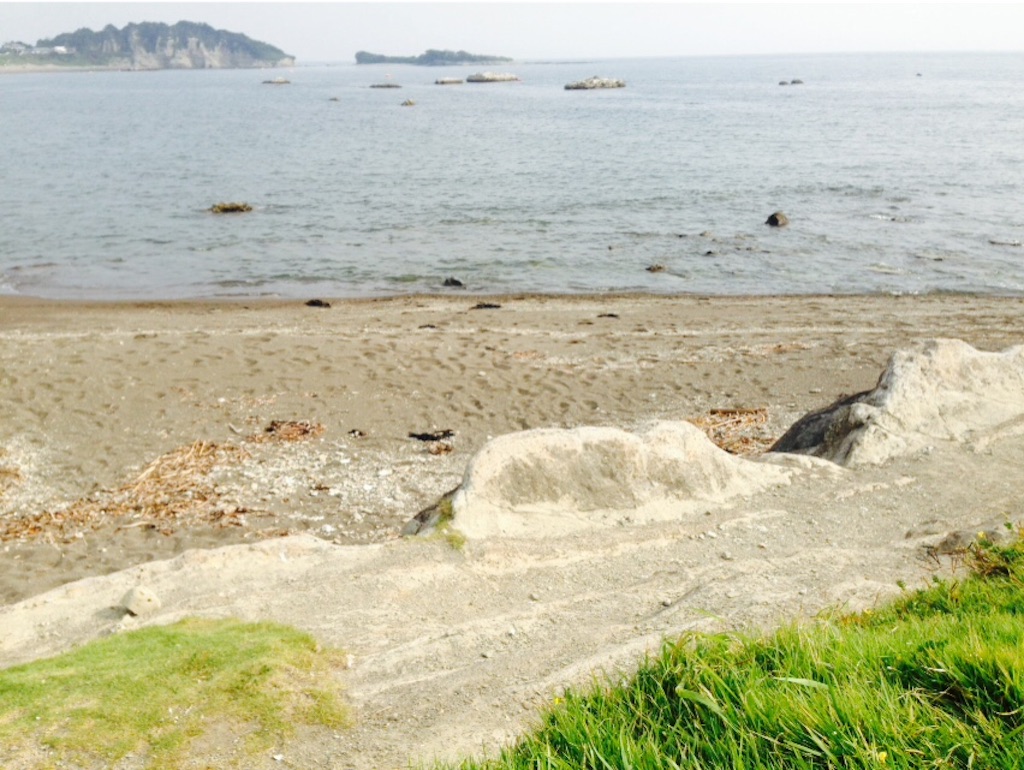 f:id:ayako-sundries:20160811191343j:image f:id:ayako-sundries:20160811191343j:image