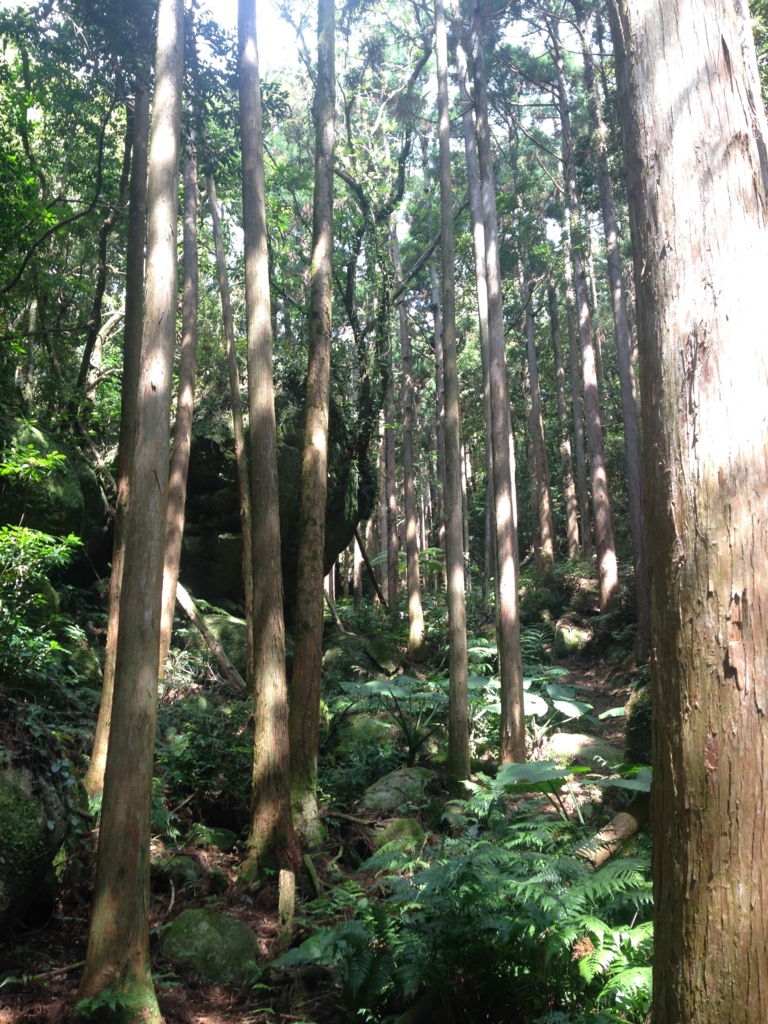 f:id:ayako-sundries:20170415101407j:plain