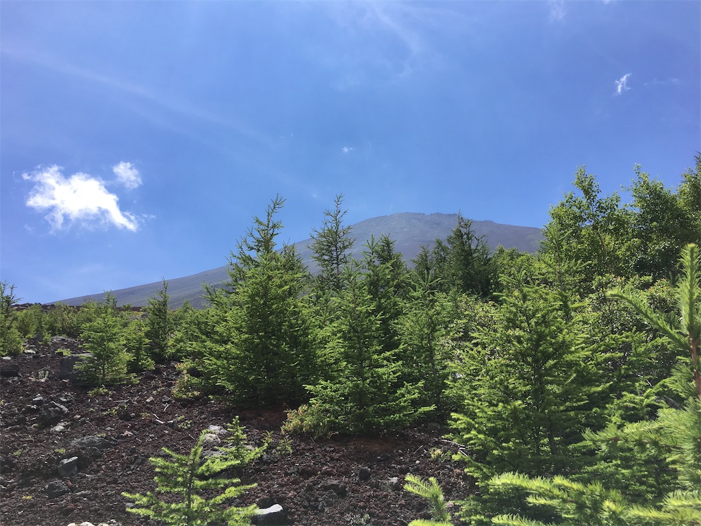 f:id:ayako-sundries:20180727152103j:image