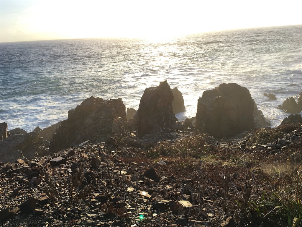 f:id:ayako-sundries:20180904232237j:image f:id:ayako-sundries:20180904232237j:image