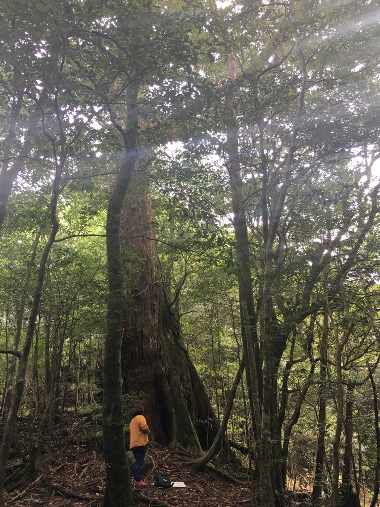 f:id:ayako-sundries:20180923122218j:plain