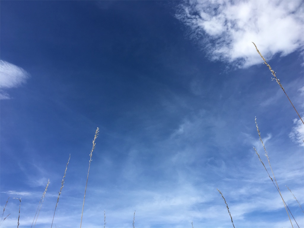 f:id:ayako-sundries:20190126164316j:image