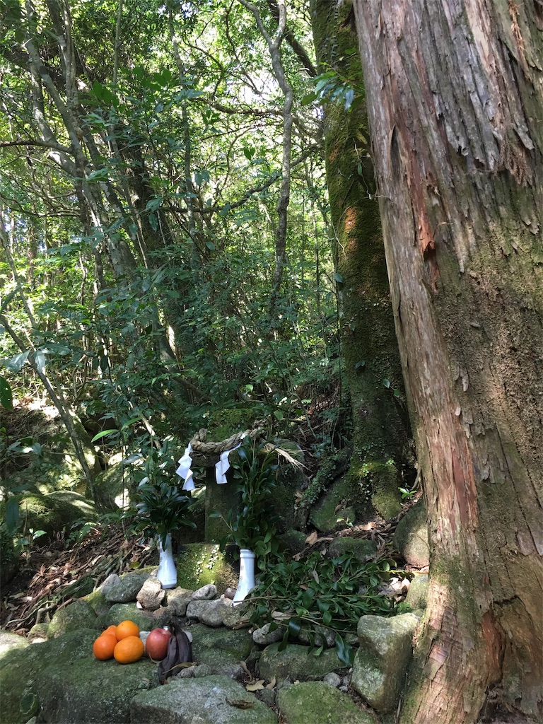 f:id:ayako-sundries:20190319102630j:image