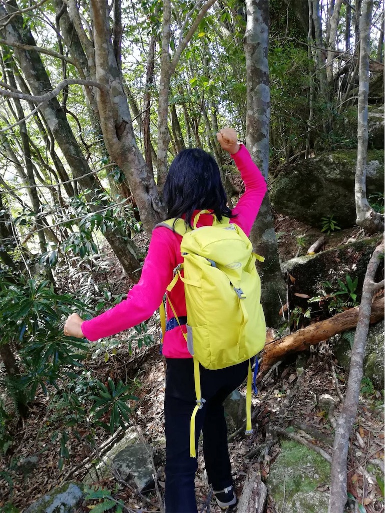f:id:ayako-sundries:20190319103422j:image
