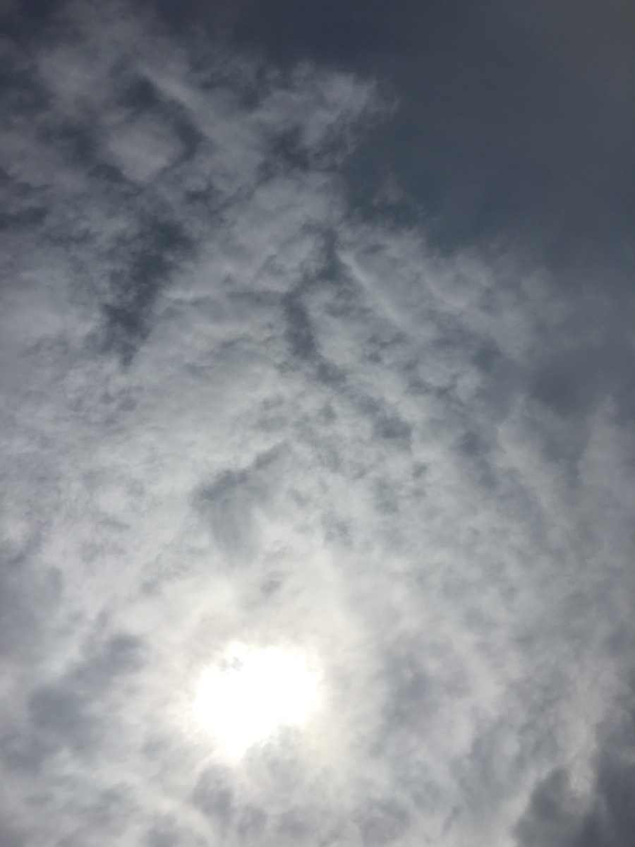 f:id:ayako-sundries:20190322133817j:plain