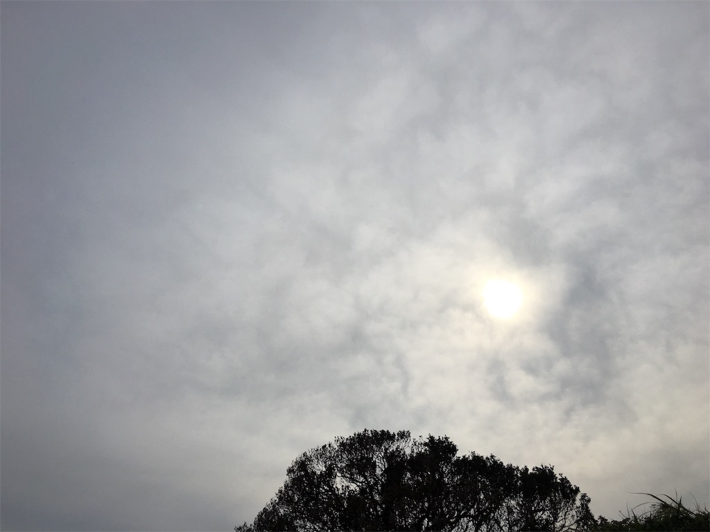 f:id:ayako-sundries:20190420213822j:image