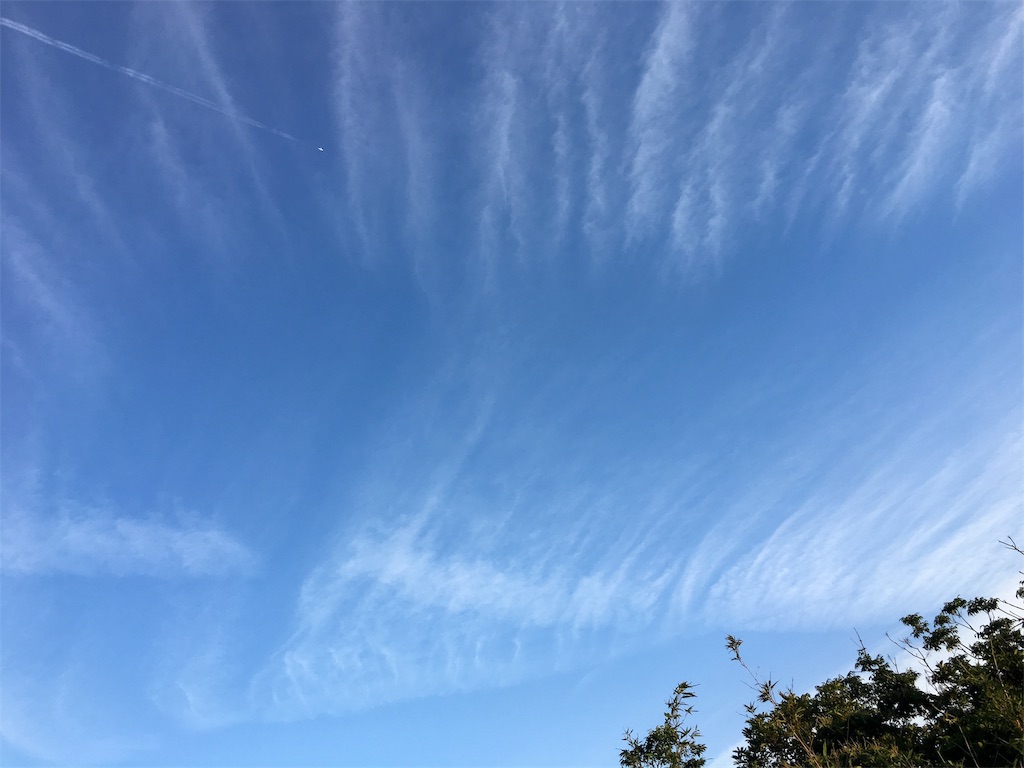 f:id:ayako-sundries:20190604211137j:image