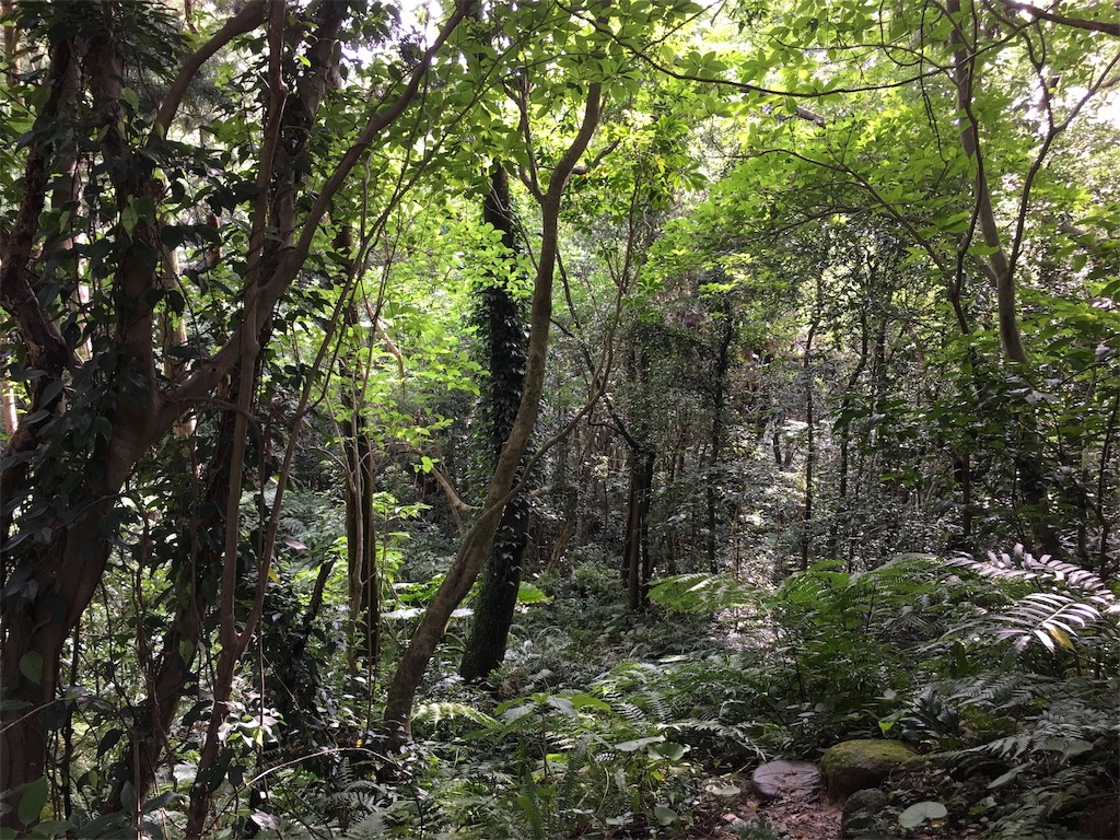f:id:ayako-sundries:20190710221242j:image