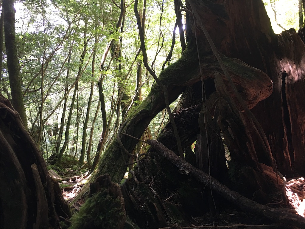 f:id:ayako-sundries:20190801182410j:image