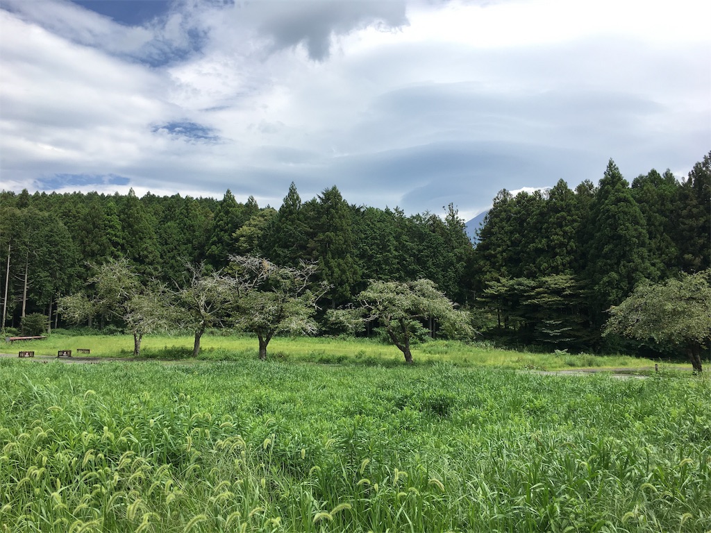 f:id:ayako-sundries:20190830191329j:image