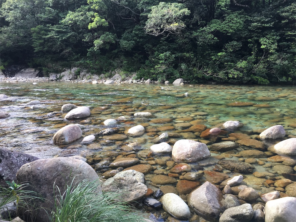 f:id:ayako-sundries:20190914140712j:image