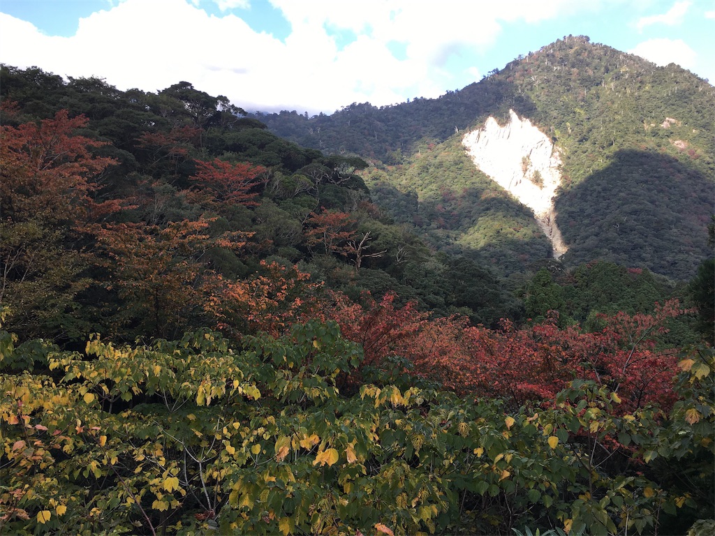 f:id:ayako-sundries:20191118114952j:image f:id:ayako-sundries:20191118114952j:image