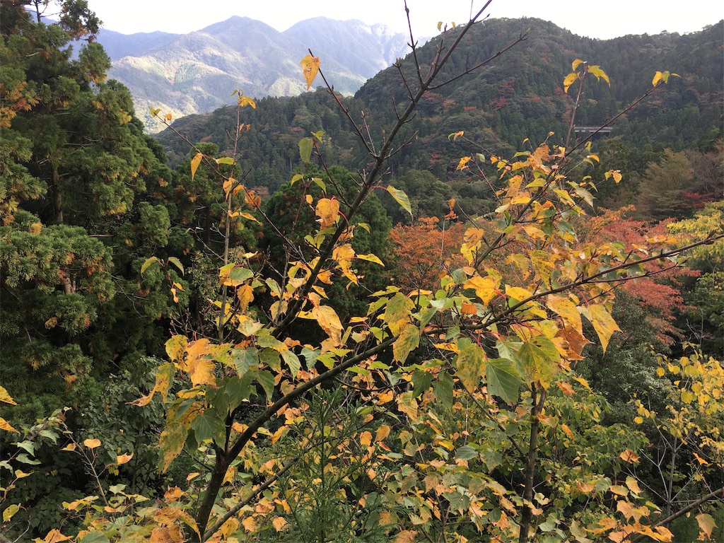 f:id:ayako-sundries:20191118115005j:image f:id:ayako-sundries:20191118115005j:image