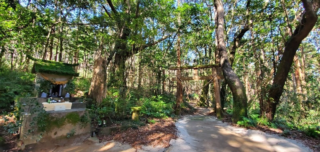 f:id:ayako-sundries:20210206215423j:plain