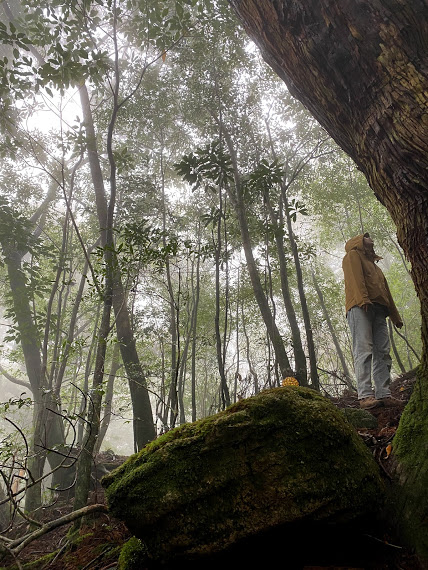 f:id:ayako-sundries:20210312093612j:plain