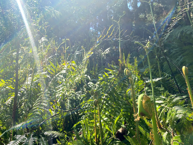 f:id:ayako-sundries:20210312093735j:plain