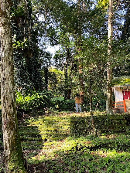 f:id:ayako-sundries:20210312093833j:plain