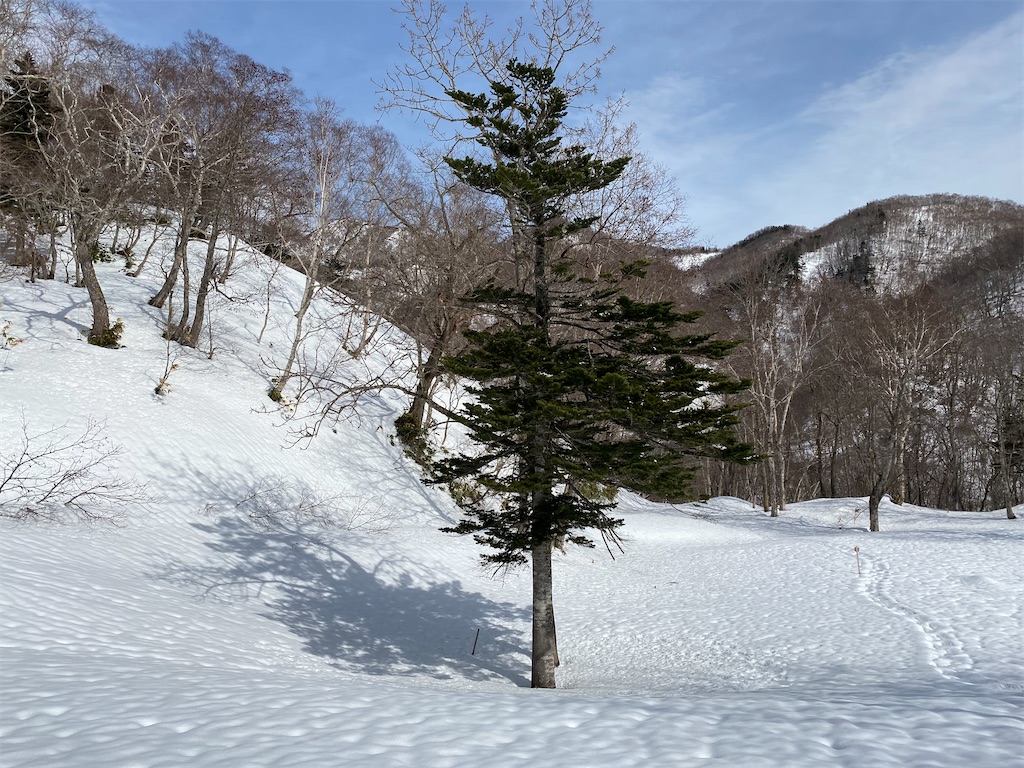 f:id:ayako-sundries:20210323081453j:image f:id:ayako-sundries:20210323081453j:image