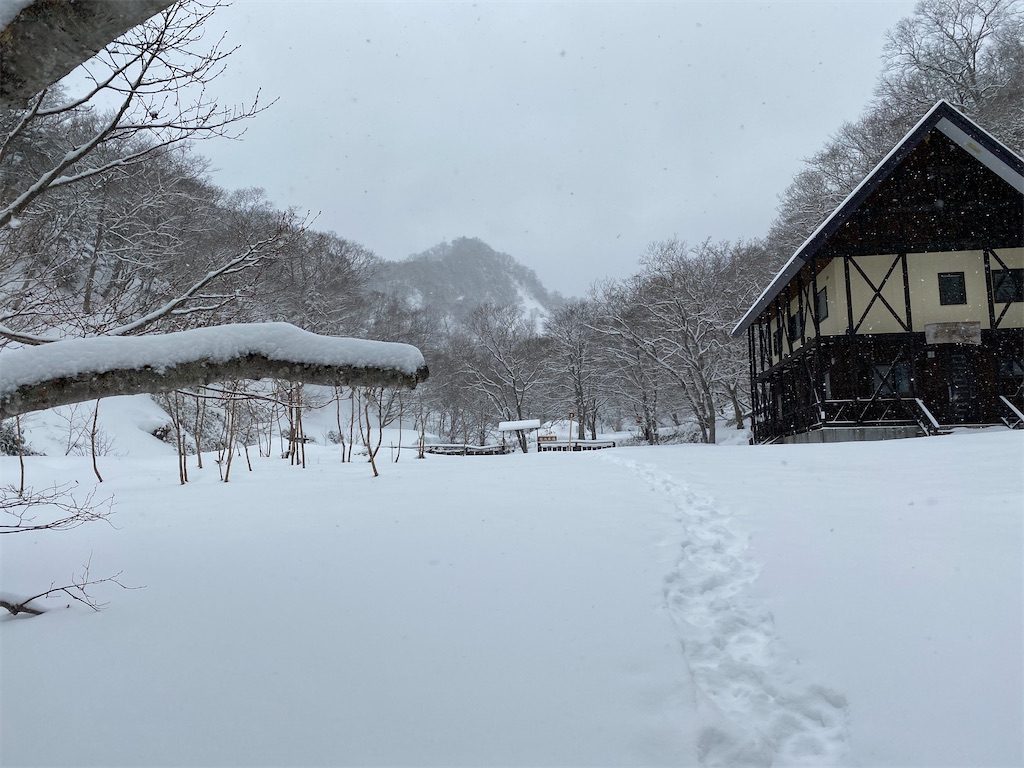 f:id:ayako-sundries:20210323081725j:image f:id:ayako-sundries:20210323081725j:image
