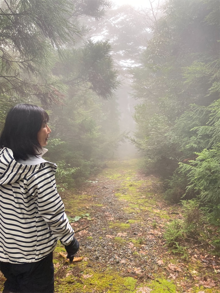 f:id:ayako-sundries:20230118204204j:image