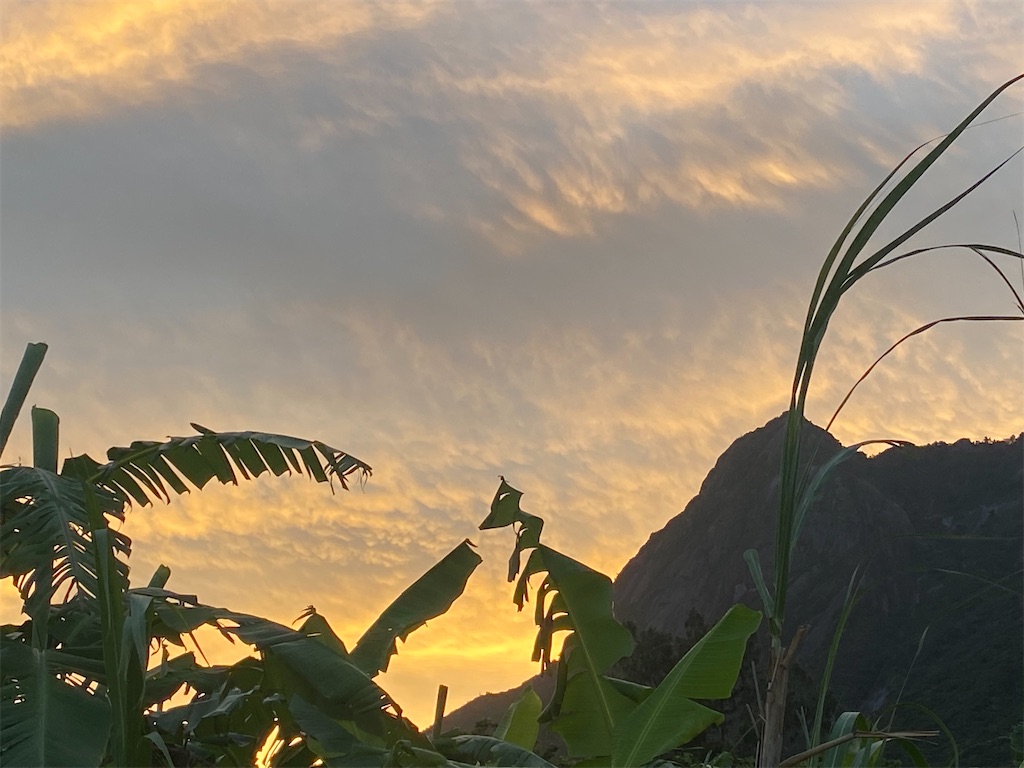 f:id:ayako-sundries:20230712230013j:image