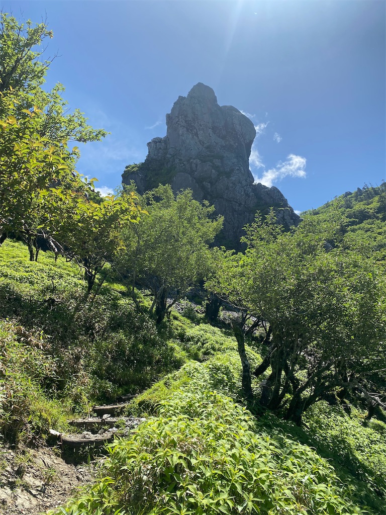 f:id:ayako-sundries:20230712230346j:image